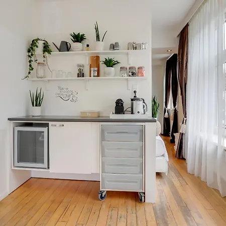 B&B 라 비 앙 로즈 센터