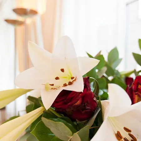 La Vie En Rose Centre Bed and Breakfast